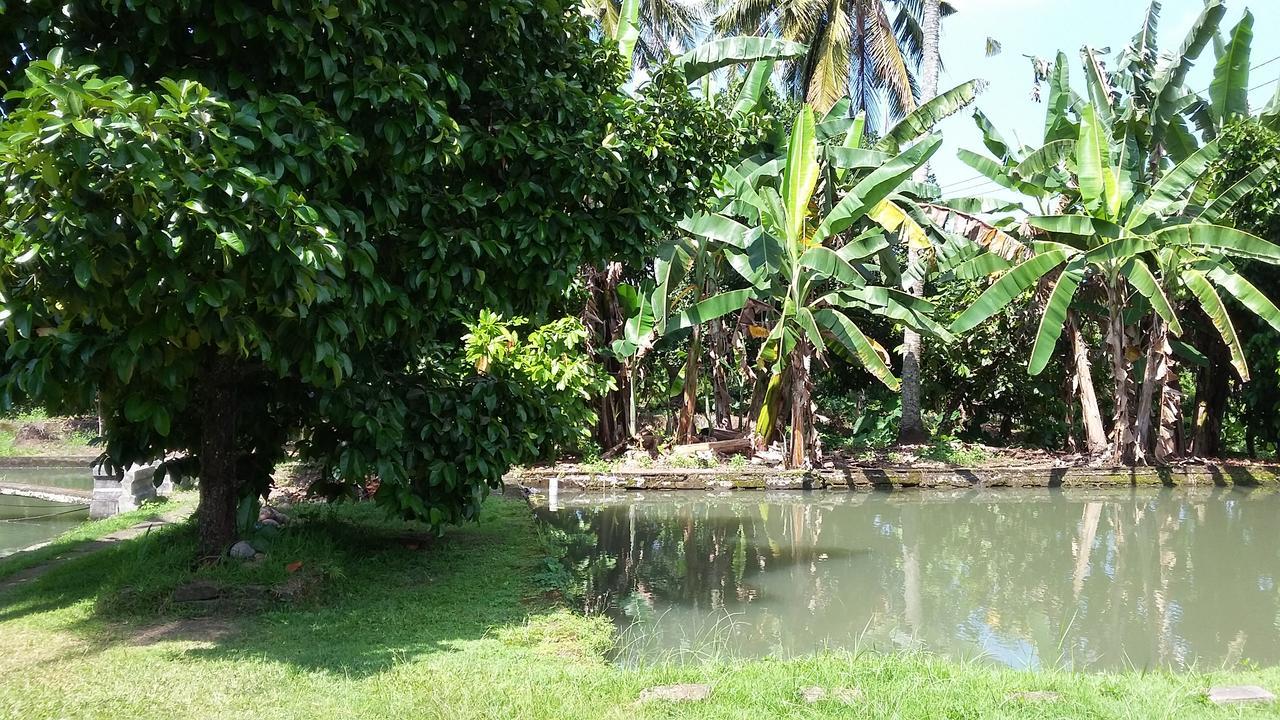 Natural Lodge 2 Selemadeg  Esterno foto